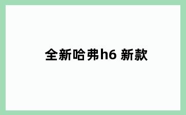 全新哈弗h6 新款
